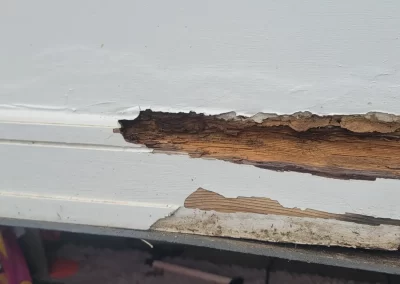 Professional Remodeler